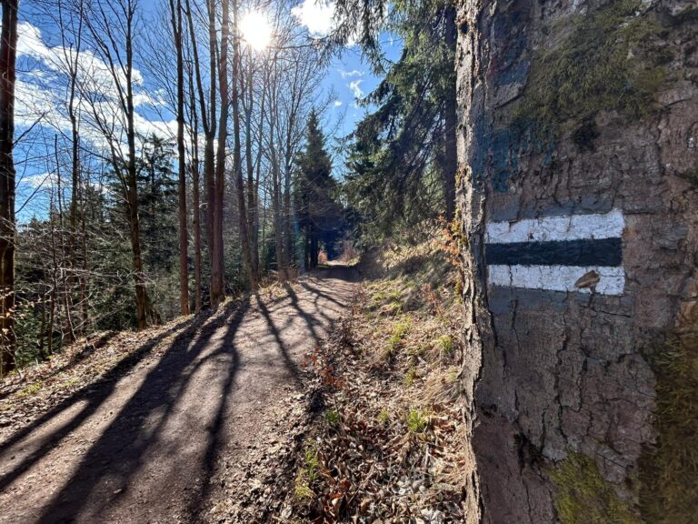 dlaczego powstał blog podróżniczy Włoczykij