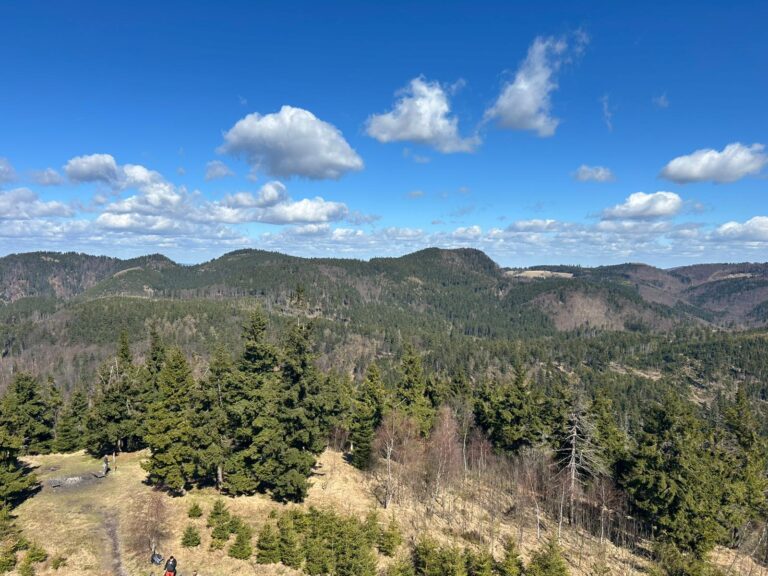 Waligóra – bez pośpiechu na najwyższy szczyt Gór Kamiennych